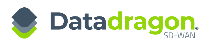 Datadragon logo
